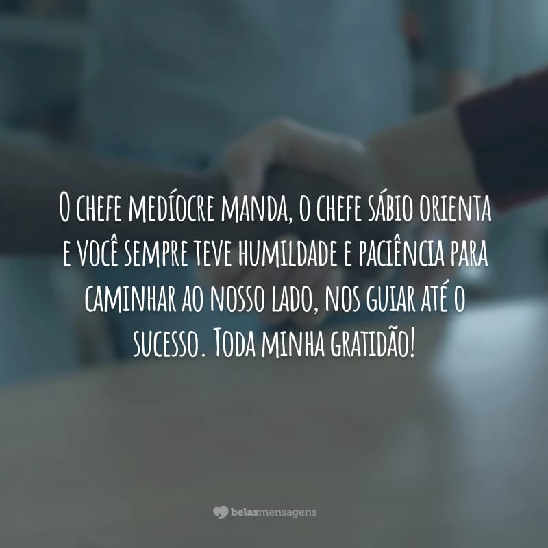 O chefe medíocre manda, o chefe sábio orienta e você sempre teve humildade e paciência para caminhar ao nosso lado, nos guiar até o sucesso. Toda minha gratidão!