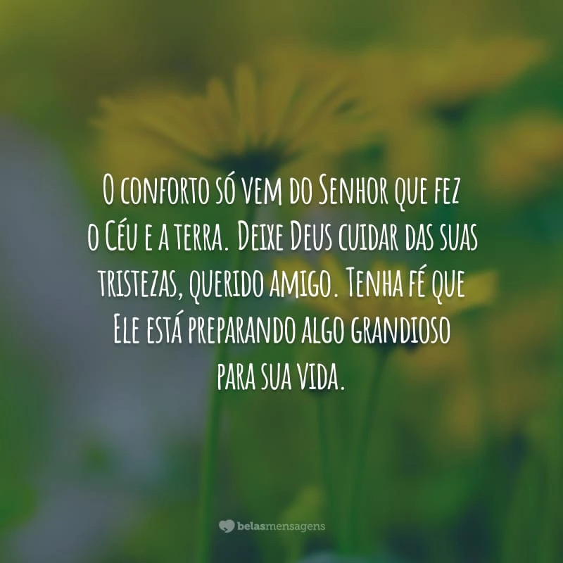 O conforto só vem do Senhor que fez o Céu e a terra. Deixe Deus cuidar das suas tristezas, querido amigo. Tenha fé que Ele está preparando algo grandioso para sua vida.