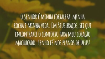 O Senhor é minha fortaleza, minha rocha e minha vida. Em Seus braços, sei que encontrarei o conforto para meu coração machucado. Tenho fé nos planos de Deus!