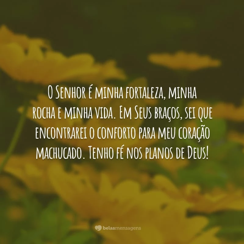 O Senhor é minha fortaleza, minha rocha e minha vida. Em Seus braços, sei que encontrarei o conforto para meu coração machucado. Tenho fé nos planos de Deus!