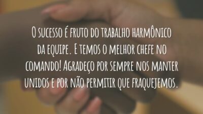 O sucesso é fruto do trabalho harmônico da equipe. E temos o melhor chefe no comando! Agradeço por sempre nos manter unidos e por não permitir que fraquejemos.