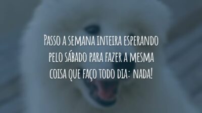 Passo a semana inteira esperando pelo sábado para fazer a mesma coisa que faço todo dia: nada!