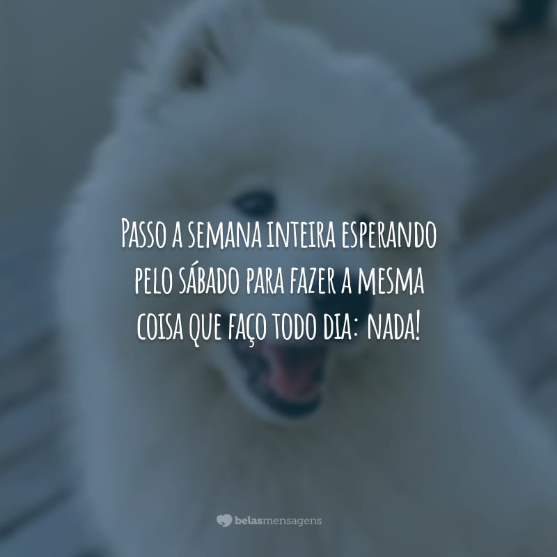 Passo a semana inteira esperando pelo sábado para fazer a mesma coisa que faço todo dia: nada!