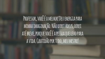 Professor, você é o melhor! Deu energia para minha imaginação. Não direi adeus, direi até breve, porque você é a pessoa que levo para a vida. Gratidão por tudo, meu mestre!