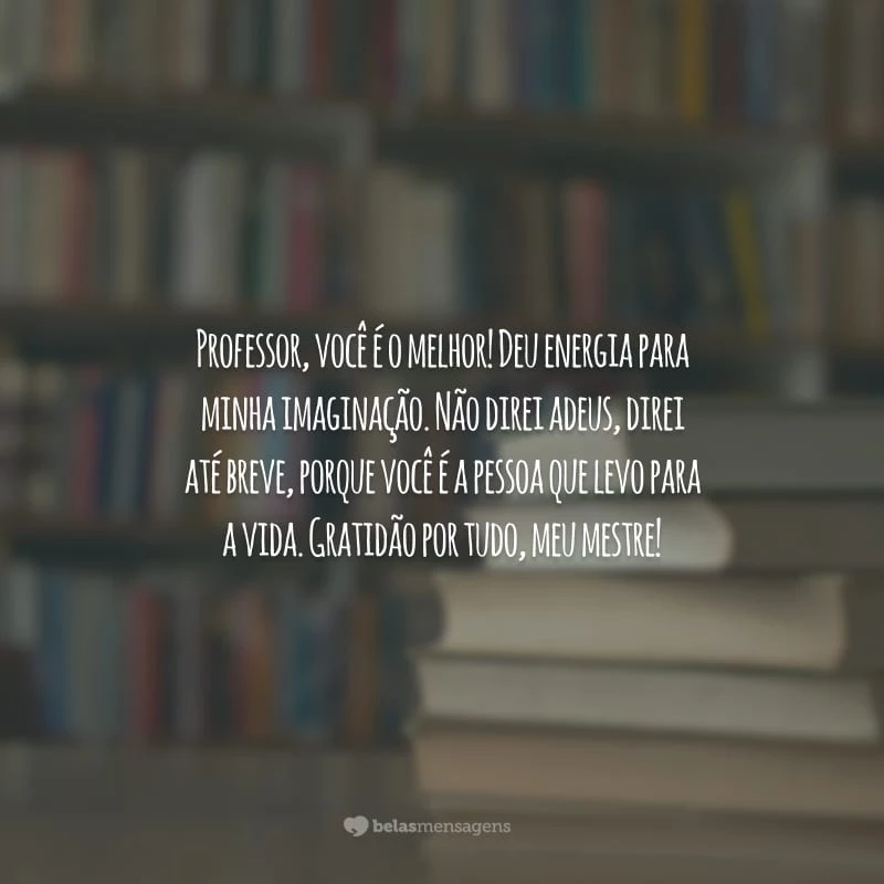 Professor, você é o melhor! Deu energia para minha imaginação. Não direi adeus, direi até breve, porque você é a pessoa que levo para a vida. Gratidão por tudo, meu mestre!