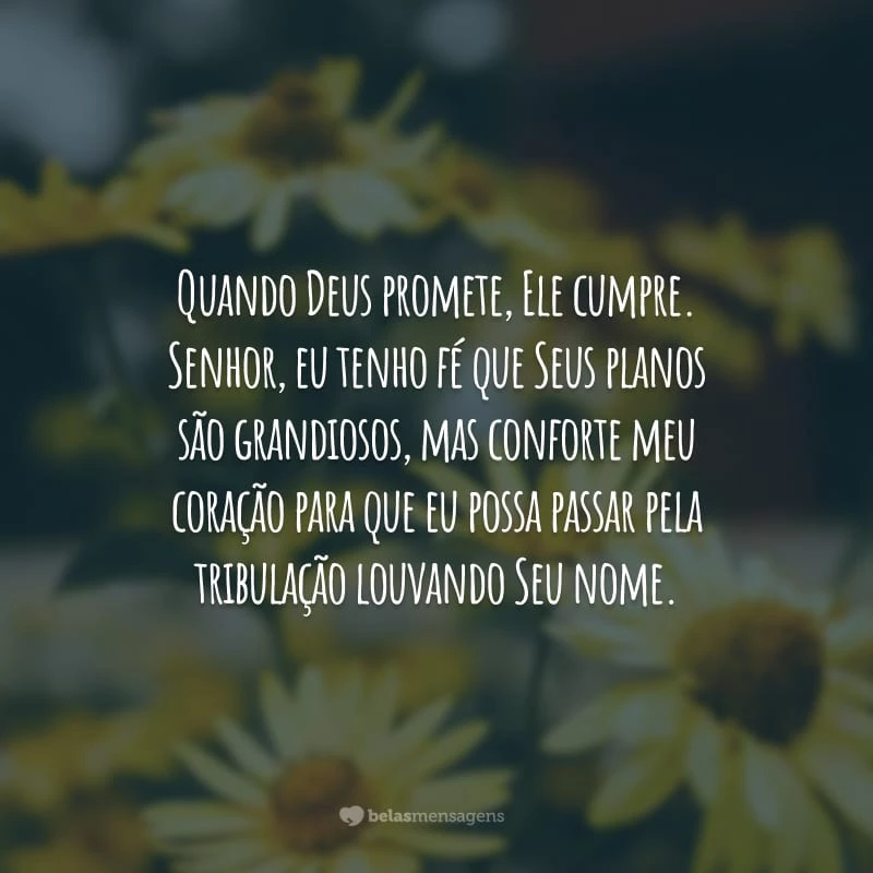 Quando Deus promete, Ele cumpre. Senhor, eu tenho fé que Seus planos são grandiosos, mas conforte meu coração para que eu possa passar pela tribulação louvando Seu nome.