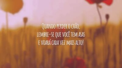 Quando perder o chão, lembre-se que você tem asas e voará cada vez mais alto!