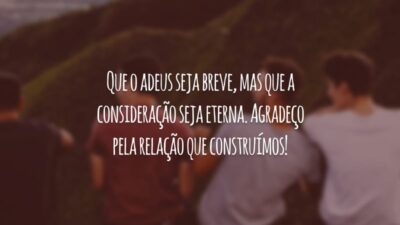 Que o adeus seja breve, mas que a consideração seja eterna. Agradeço pela relação que construímos!
