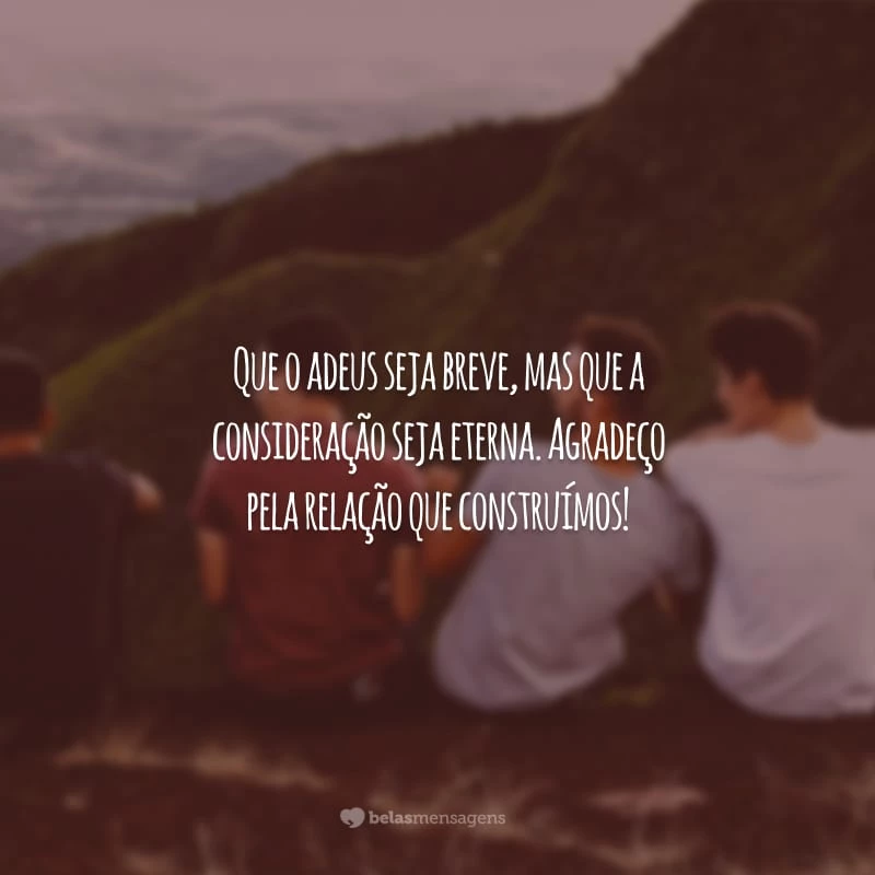 Que o adeus seja breve, mas que a consideração seja eterna. Agradeço pela relação que construímos!