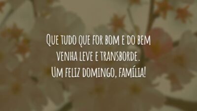 Que tudo que for bom e do bem venha leve e transborde. Um feliz domingo, família!