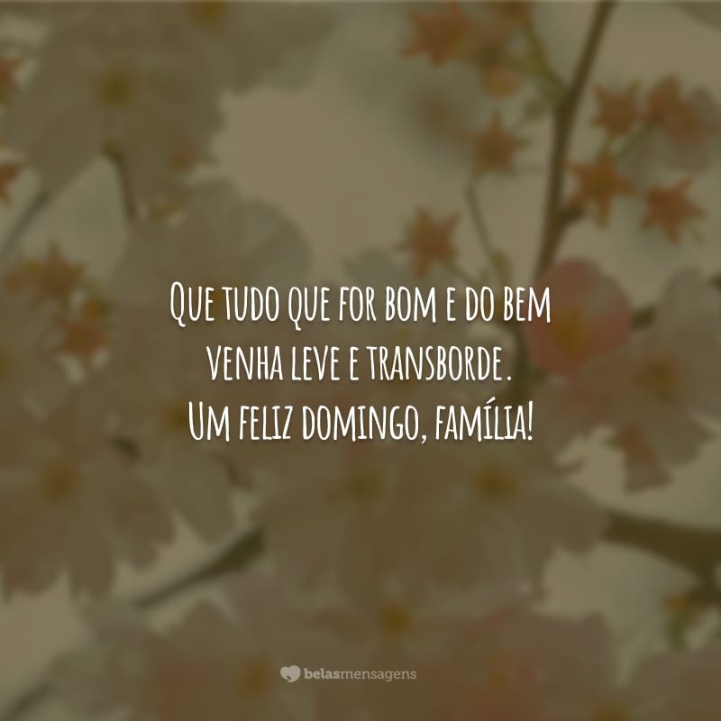 Que tudo que for bom e do bem venha leve e transborde. Um feliz domingo, família!