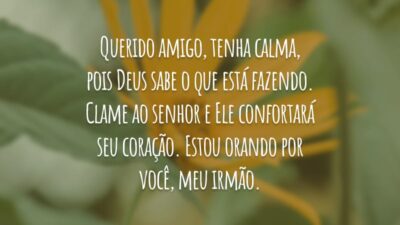 Querido amigo, tenha calma, pois Deus sabe o que está fazendo. Clame ao senhor e Ele confortará seu coração. Estou orando por você, meu irmão.