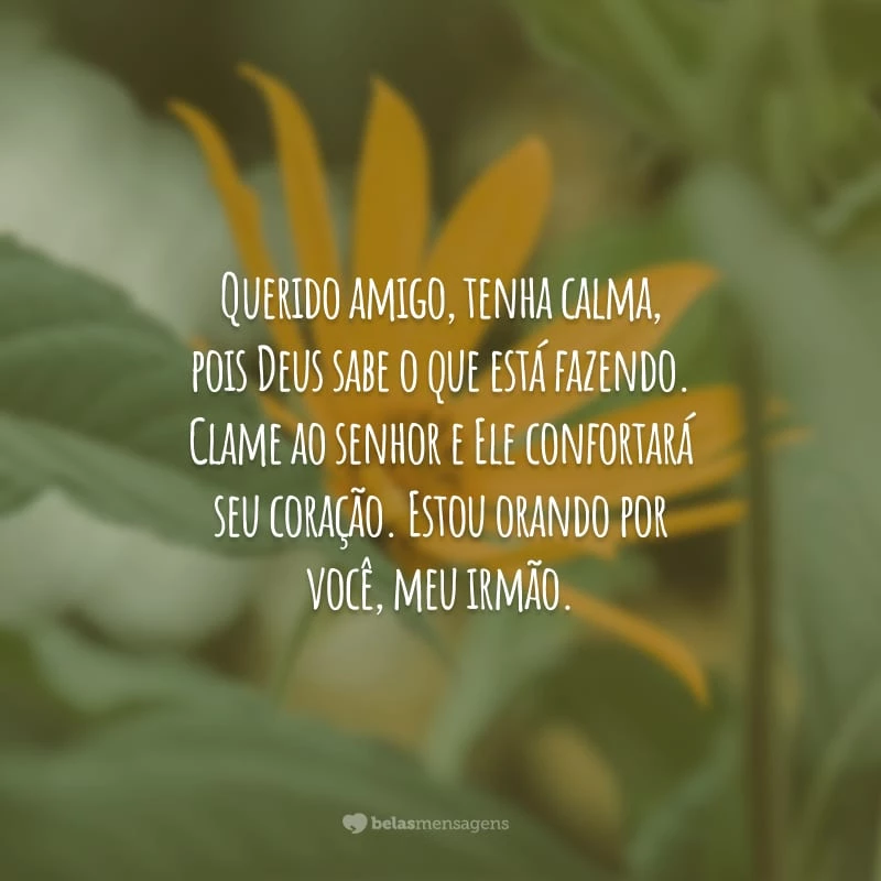 Querido amigo, tenha calma, pois Deus sabe o que está fazendo. Clame ao senhor e Ele confortará seu coração. Estou orando por você, meu irmão.