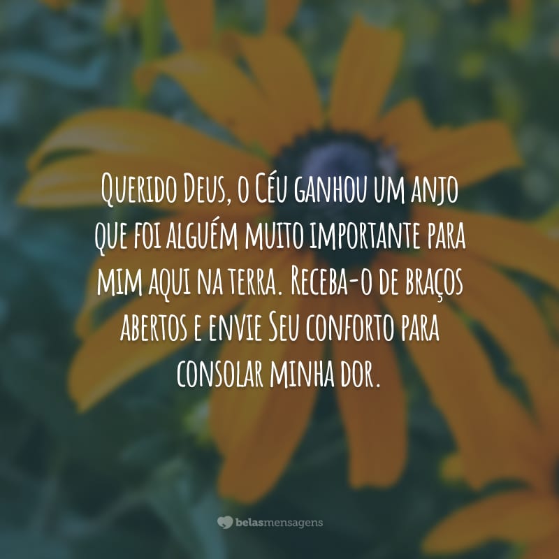 Querido Deus, o Céu ganhou um anjo que foi alguém muito importante para mim aqui na terra. Receba-o de braços abertos e envie Seu conforto para consolar minha dor.