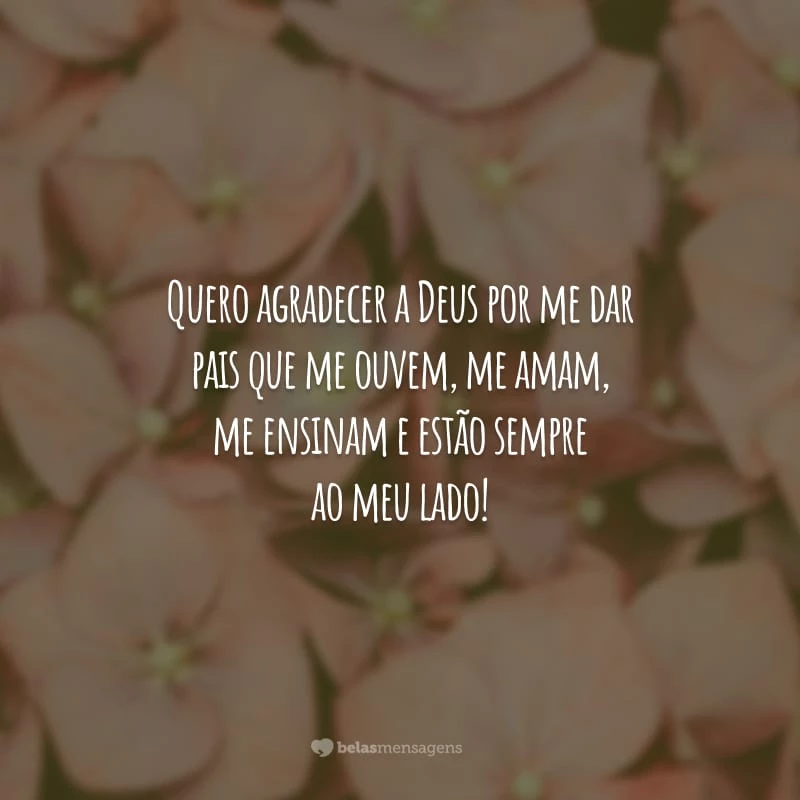 Quero agradecer a Deus por me dar pais que me ouvem, me amam, me ensinam e estão sempre ao meu lado!