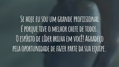 Se hoje eu sou um grande profissional é porque tive o melhor chefe de todos. O espírito de líder brilha em você! Agradeço pela oportunidade de fazer parte da sua equipe.