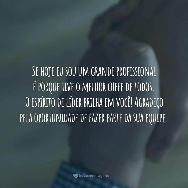 Se hoje eu sou um grande profissional é porque tive o melhor chefe de todos. O espírito de líder brilha em você! Agradeço pela oportunidade de fazer parte da sua equipe.