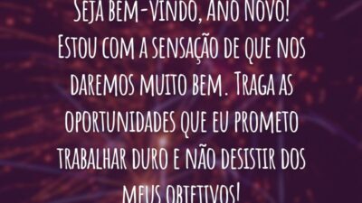 Seja bem-vindo, Ano Novo! Estou com a sensação de que nos daremos muito bem. Traga as oportunidades que eu prometo trabalhar duro e não desistir dos meus objetivos!