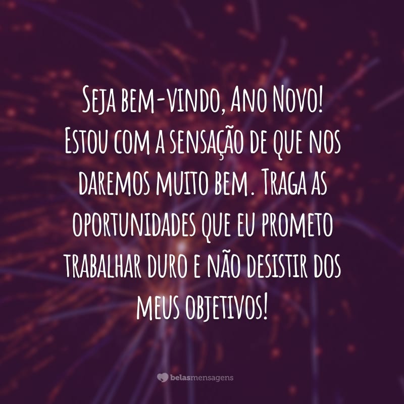 Seja bem-vindo, Ano Novo! Estou com a sensação de que nos daremos muito bem. Traga as oportunidades que eu prometo trabalhar duro e não desistir dos meus objetivos!