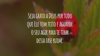 Seja grato a Deus por tudo que Ele tem feito e aguarde o seu agir para te tirar dessa fase ruim.