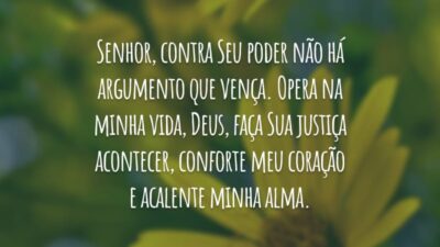 Senhor, contra Seu poder não há argumento que vença. Opera na minha vida, Deus, faça Sua justiça acontecer, conforte meu coração e acalente minha alma.