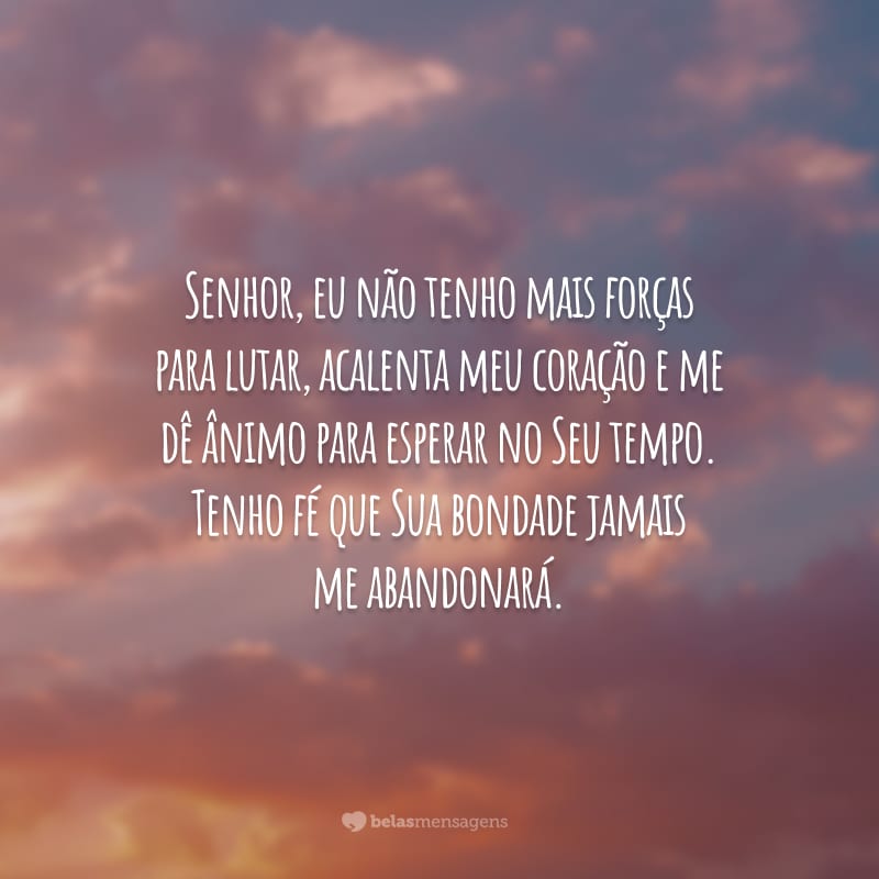 Senhor, eu não tenho mais forças para lutar, acalenta meu coração e me dê ânimo para esperar no Seu tempo. Tenho fé que Sua bondade jamais me abandonará.