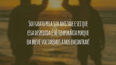 Sou grato pela sua amizade e sei que essa despedida é só temporária porque em breve voltaremos a nos encontrar!
