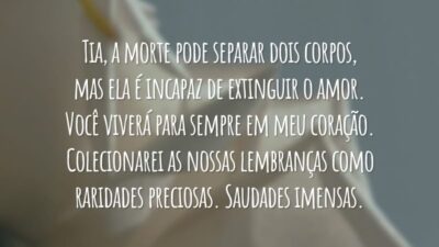 Tia, a morte pode separar dois corpos, mas ela é incapaz de extinguir o amor. Você viverá para sempre em meu coração. Colecionarei as nossas lembranças como raridades preciosas. Saudades imensas.
