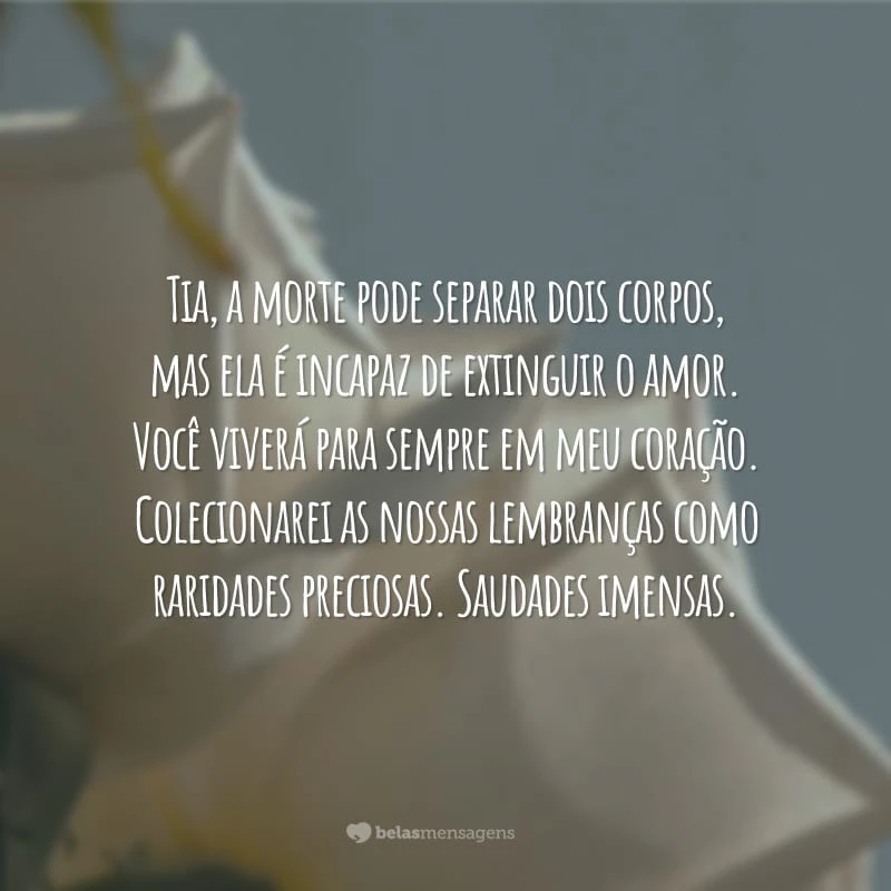 Tia, a morte pode separar dois corpos, mas ela é incapaz de extinguir o amor. Você viverá para sempre em meu coração. Colecionarei as nossas lembranças como raridades preciosas. Saudades imensas.