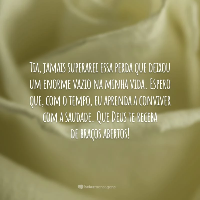 Tia, jamais superarei essa perda que deixou um enorme vazio na minha vida. Espero que, com o tempo, eu aprenda a conviver com a saudade. Que Deus te receba de braços abertos!