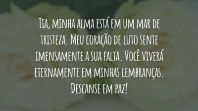 Tia, minha alma está em um mar de tristeza. Meu coração de luto sente imensamente a sua falta. Você viverá eternamente em minhas lembranças. Descanse em paz!
