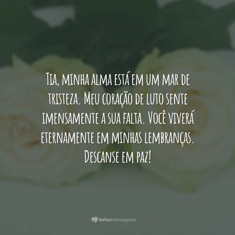 Tia, minha alma está em um mar de tristeza. Meu coração de luto sente imensamente a sua falta. Você viverá eternamente em minhas lembranças. Descanse em paz!