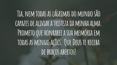 Tia, nem todas as lágrimas do mundo são capazes de aliviar a tristeza da minha alma. Prometo que honrarei a sua memória em todas as minhas ações. Que Deus te receba de braços abertos!