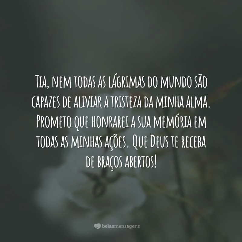 Tia, nem todas as lágrimas do mundo são capazes de aliviar a tristeza da minha alma. Prometo que honrarei a sua memória em todas as minhas ações. Que Deus te receba de braços abertos!