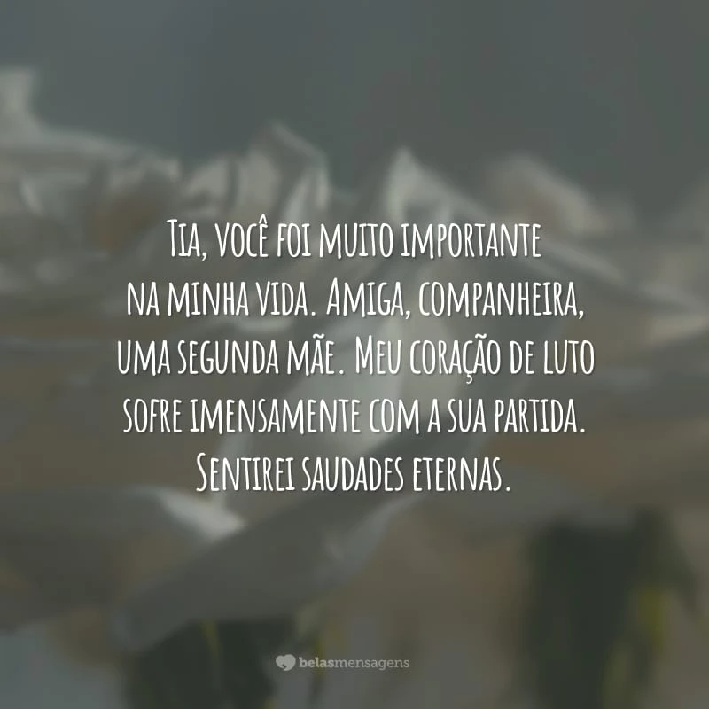 Tia, você foi muito importante na minha vida. Amiga, companheira, uma segunda mãe. Meu coração de luto sofre imensamente com a sua partida. Sentirei saudades eternas.