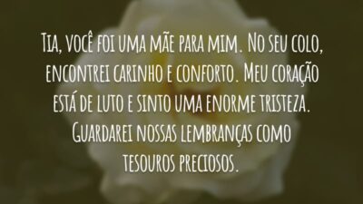 Tia, você foi uma mãe para mim. No seu colo, encontrei carinho e conforto. Meu coração está de luto e sinto uma enorme tristeza. Guardarei nossas lembranças como tesouros preciosos.
