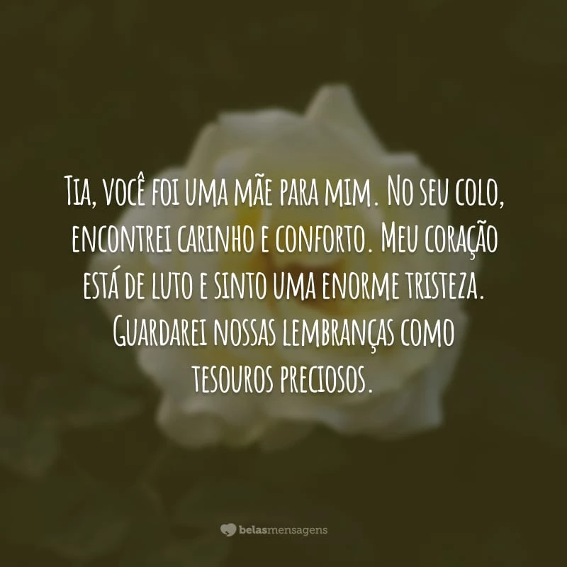 Tia, você foi uma mãe para mim. No seu colo, encontrei carinho e conforto. Meu coração está de luto e sinto uma enorme tristeza. Guardarei nossas lembranças como tesouros preciosos.