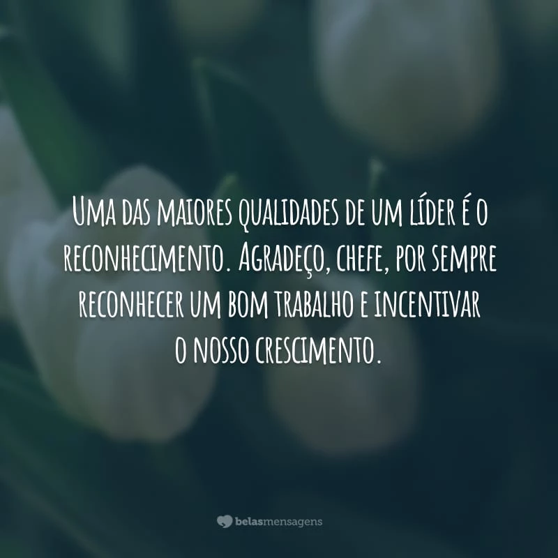 Uma das maiores qualidades de um líder é o reconhecimento. Agradeço, chefe, por sempre reconhecer um bom trabalho e incentivar o nosso crescimento.