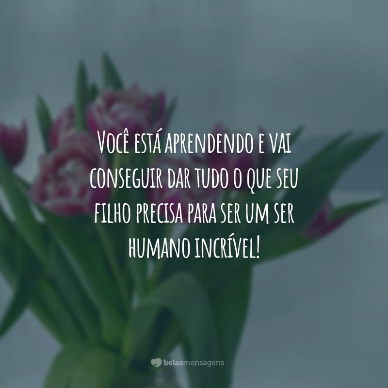 Você está aprendendo e vai conseguir dar tudo o que seu filho precisa para ser um ser humano incrível!