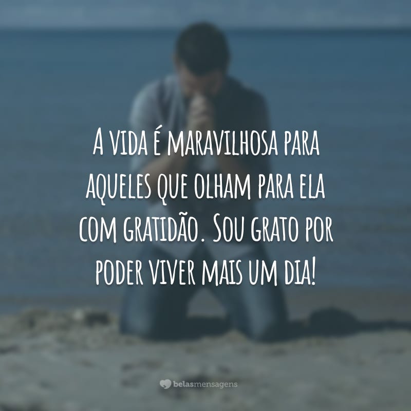 A vida é maravilhosa para aqueles que olham para ela com gratidão. Sou grato por poder viver mais um dia!