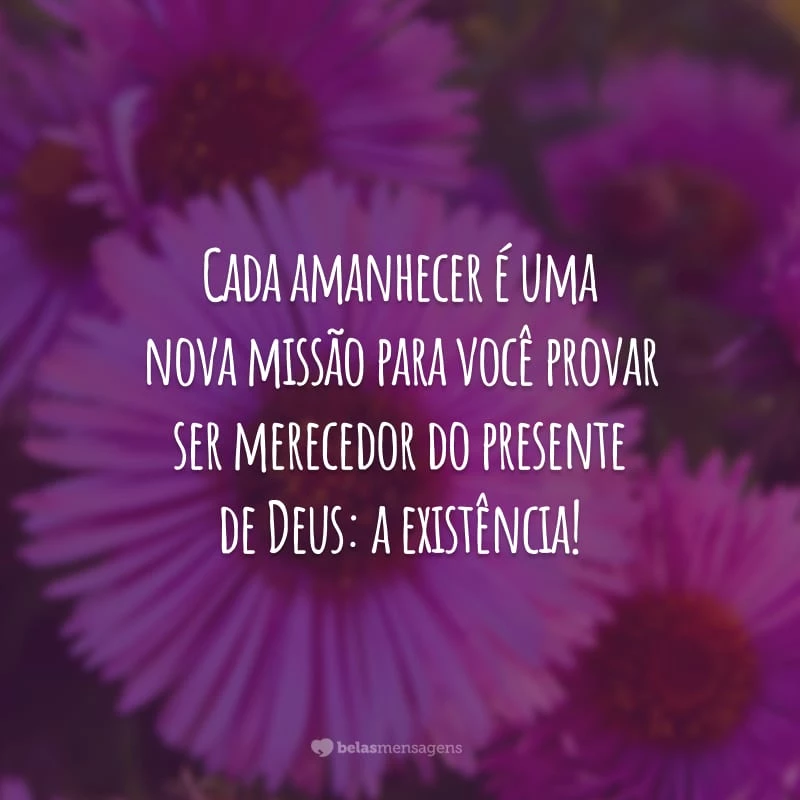 Cada amanhecer é uma nova missão para você provar ser merecedor do presente de Deus: a existência!