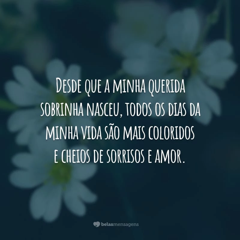 Desde que a minha querida sobrinha nasceu, todos os dias da minha vida são mais coloridos e cheios de sorrisos e amor.