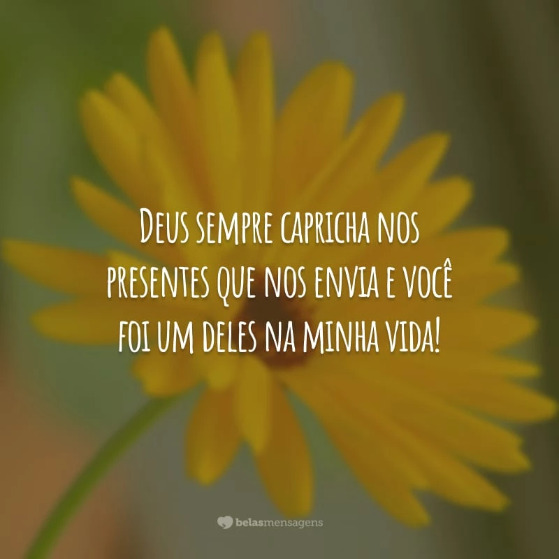 Deus sempre capricha nos presentes que nos envia e você foi um deles na minha vida!