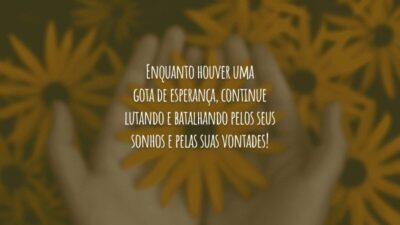 Enquanto houver uma gota de esperança, continue lutando e batalhando pelos seus sonhos e pelas suas vontades!