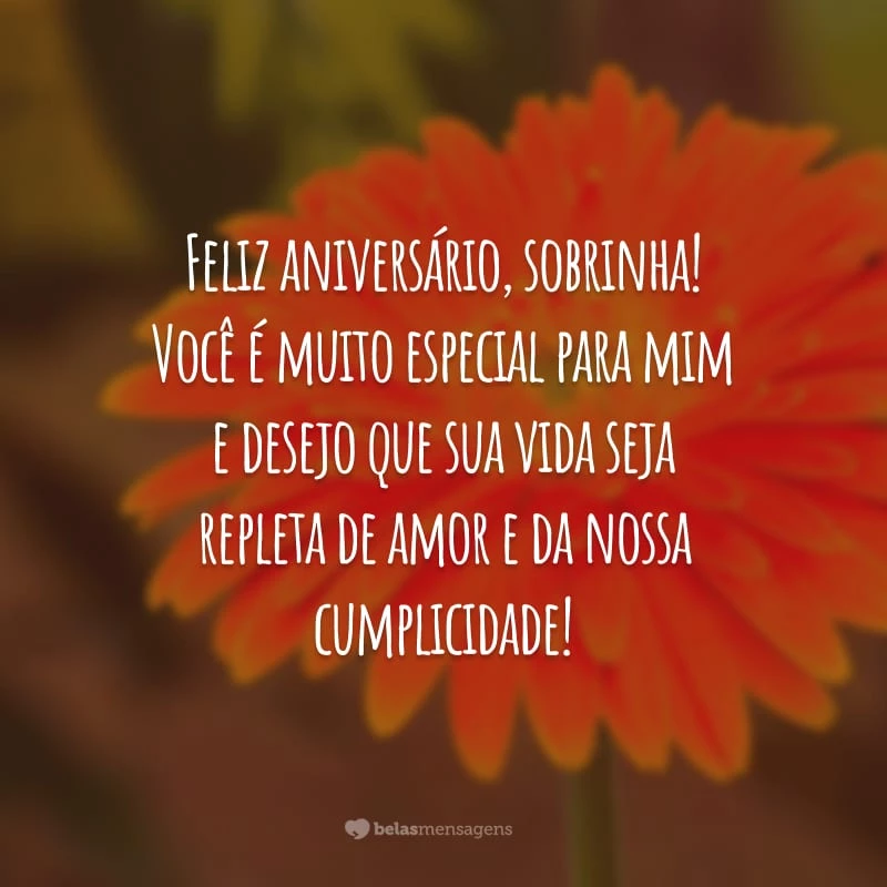 Feliz aniversário, sobrinha! Você é muito especial para mim e desejo que sua vida seja repleta de amor e da nossa cumplicidade!