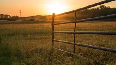 40 frases de sábado abençoado para ter um fim de semana de paz