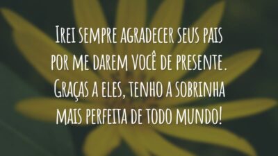 Irei sempre agradecer seus pais por me darem você de presente. Graças a eles, tenho a sobrinha mais perfeita de todo mundo!