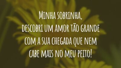 Minha sobrinha, descobri um amor tão grande com a sua chegada que nem cabe mais no meu peito!