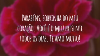 Parabéns, sobrinha do meu coração. Você é o meu presente todos os dias. Te amo muito!