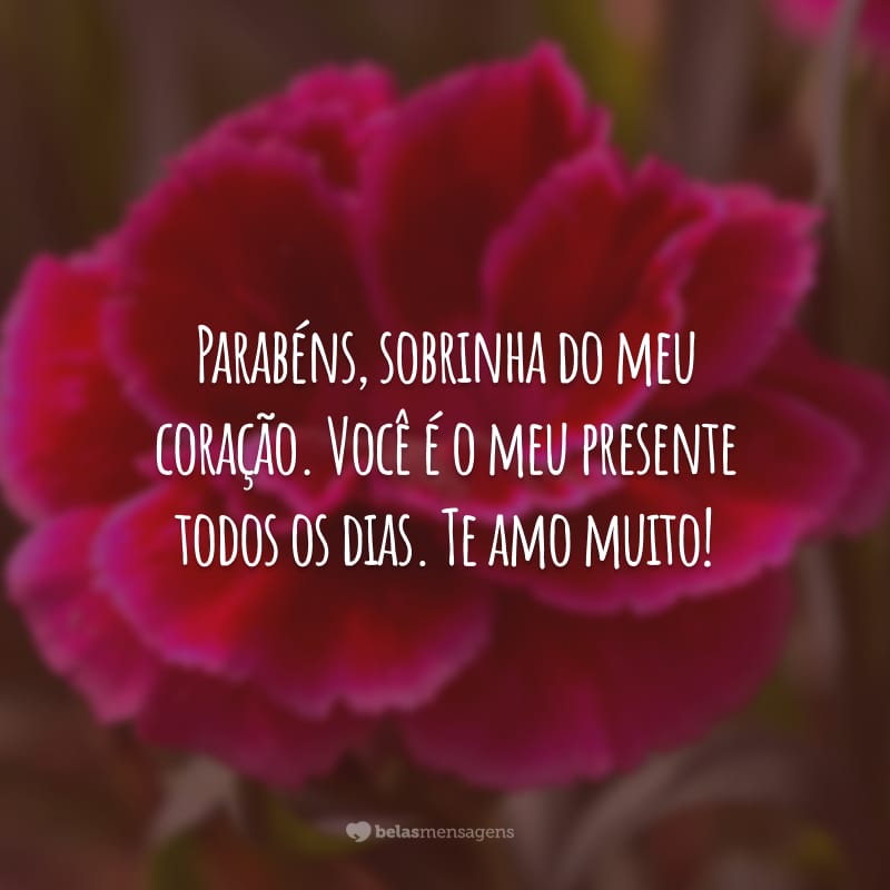 Parabéns, sobrinha do meu coração. Você é o meu presente todos os dias. Te amo muito!